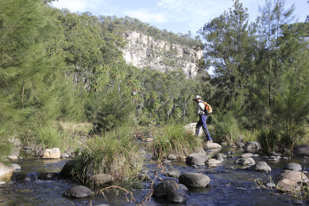 Carnarvon Gorge Carnarvon Gorge